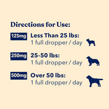 Load image into Gallery viewer, Honest Paws - Hemp Oil for Dogs Wellness